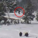Bigfoot Caught on Yellowstone Webcam