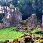 Ancient Hawaiian Temples Reveal Islands First Kingdom