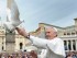 Pope-Francis-Dove-3x2-555x370