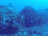 Underwater Stonehenge near Sicily Proxy Ponder News